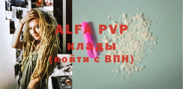крисы Абаза