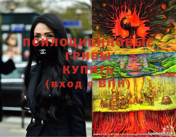 spice Елизово