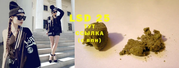 крисы Абаза