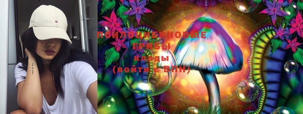 крисы Абаза